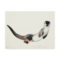 Trademark Fine Art Mark Adlington 'Curious Otter' Canvas Art, 14x19 BL01685-C1419GG